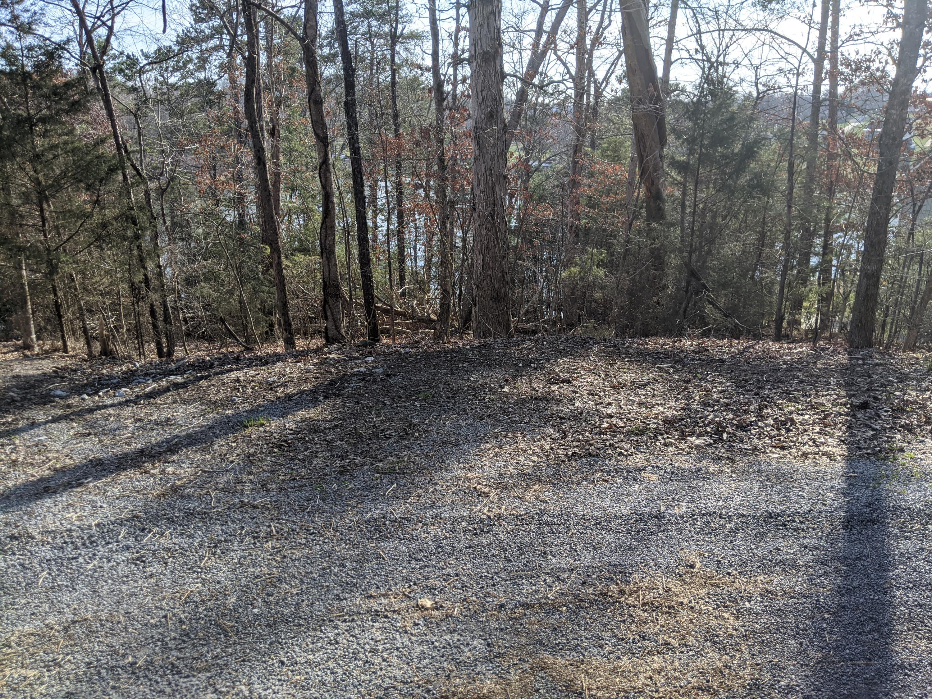 Lot 7 Key Cove Road Spring City, TN 37381 - Photo 1 of 13 PXL_20210308_212905841