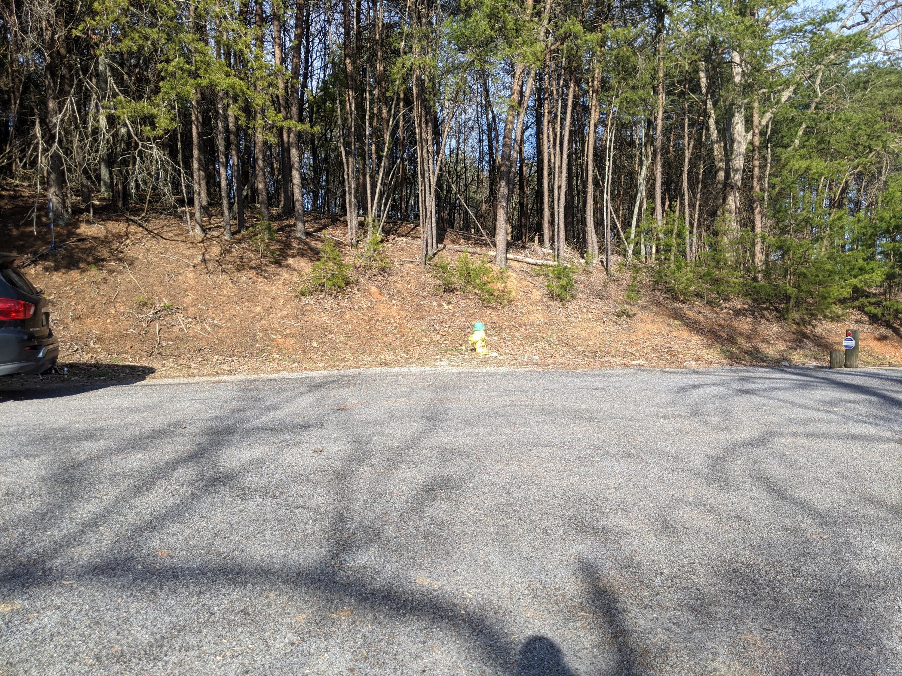 Lot 7 Key Cove Road Spring City, TN 37381 - Photo 2 of 13 PXL_20210308_212934833