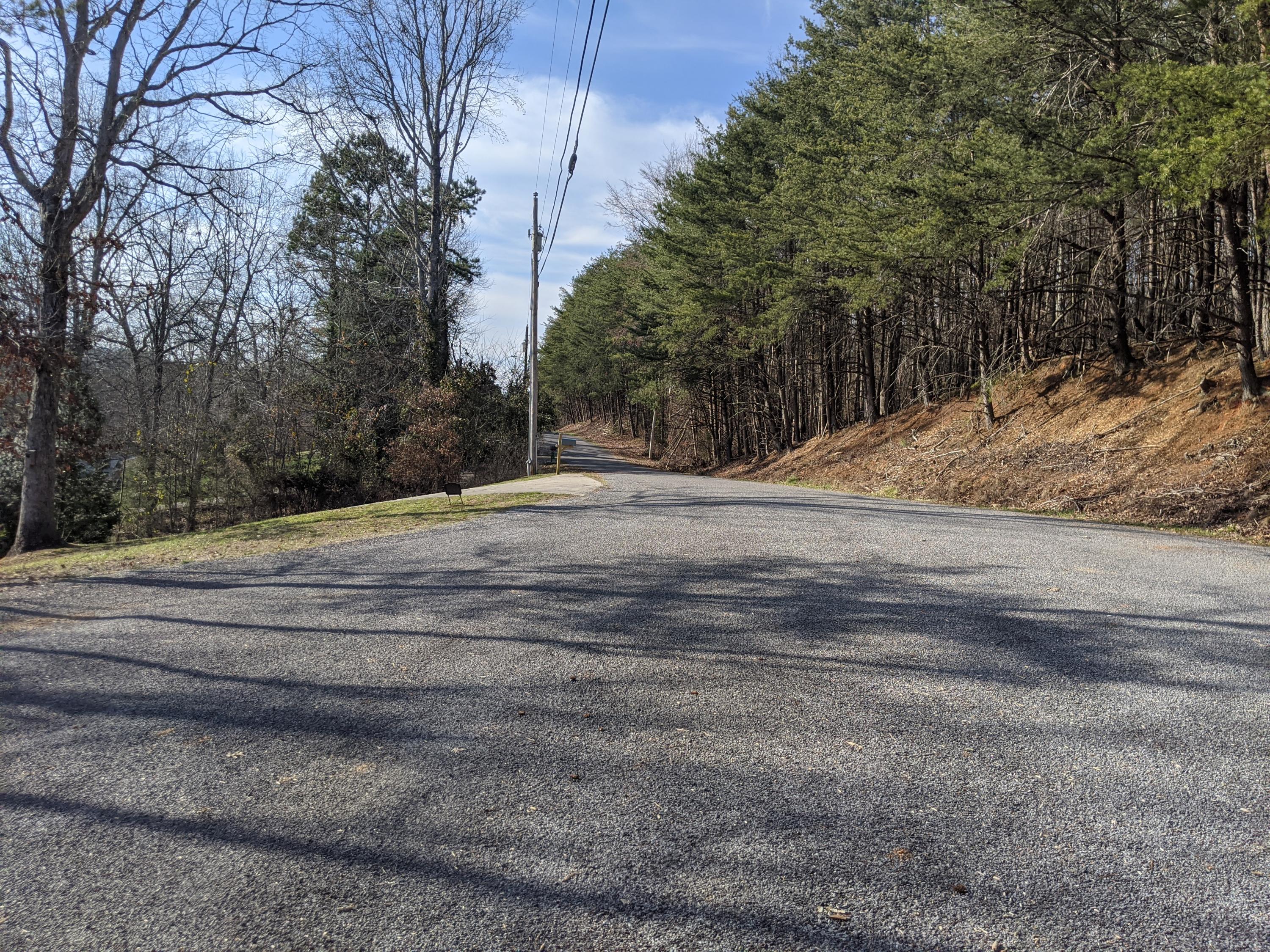 Lot 7 Key Cove Road Spring City, TN 37381 - Photo 3 of 13 PXL_20210308_212938297