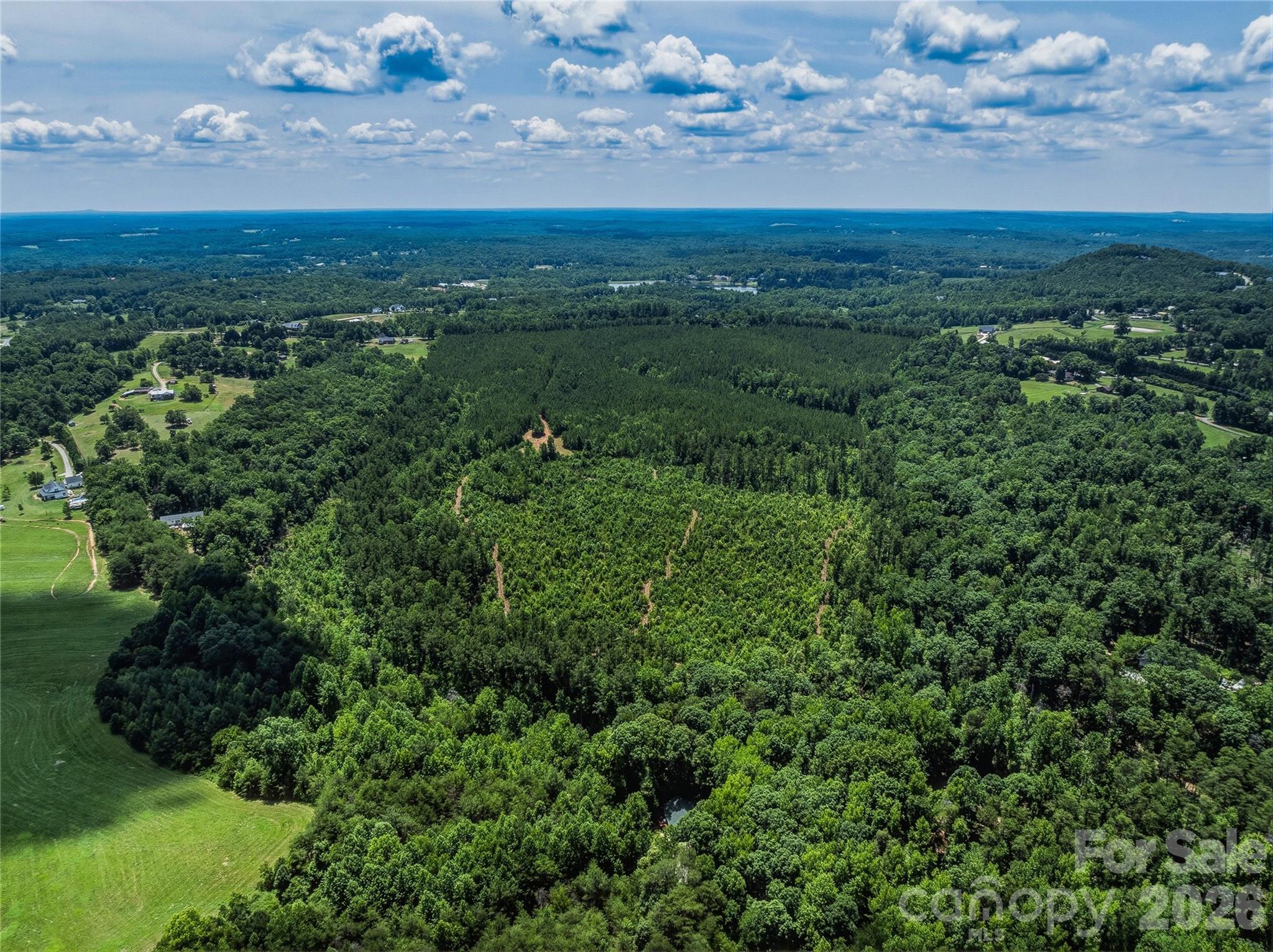 6783 Peniel Road Tryon, NC 28782 - Photo 6 of 36