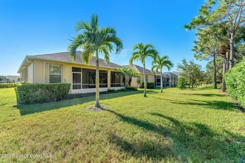 a view of a backyard with palm trees