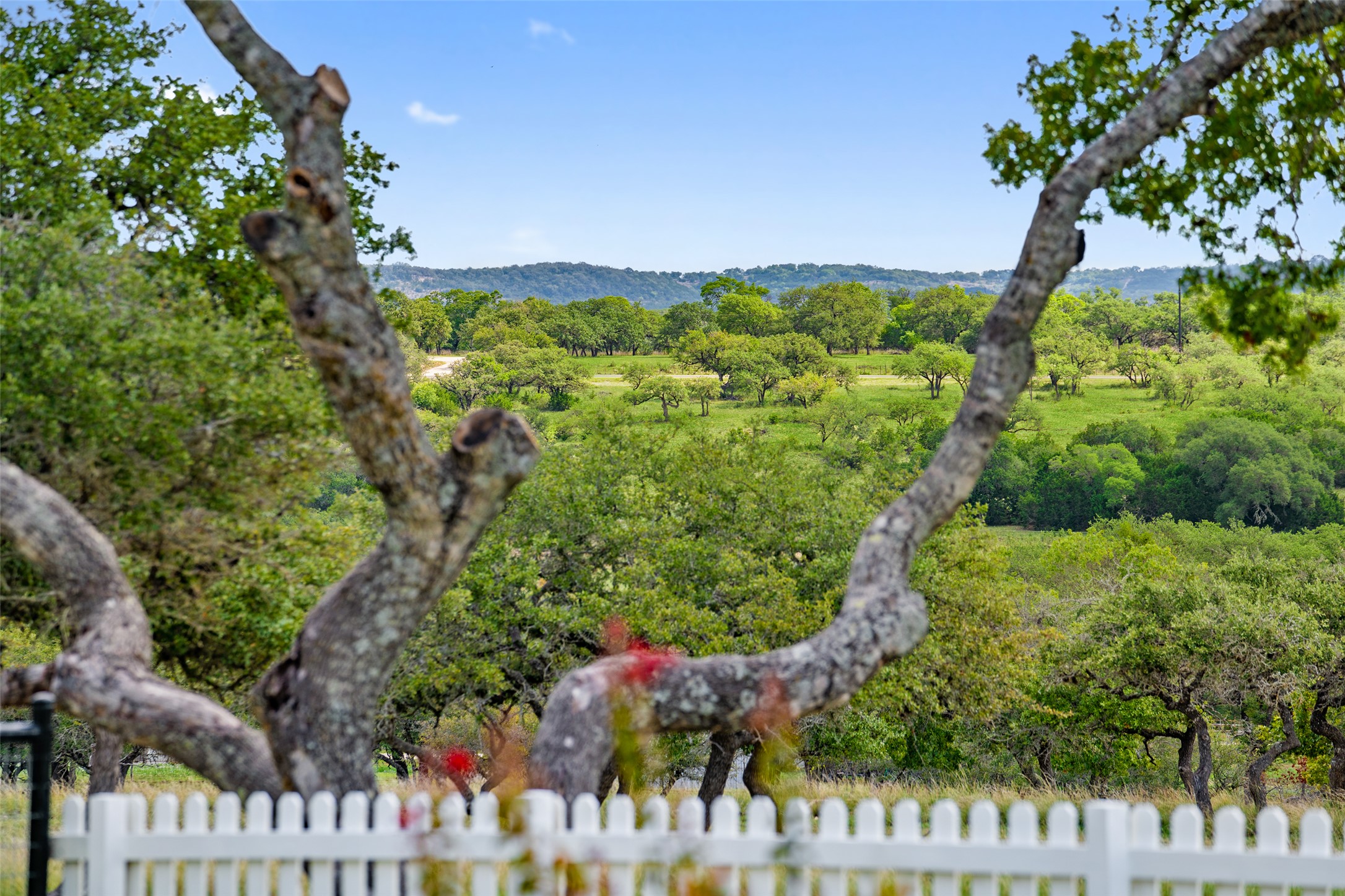 2454 McKinney Loop Blanco, TX 78606 - Photo 6 of 21 a view of a yard with plants and wooden fence