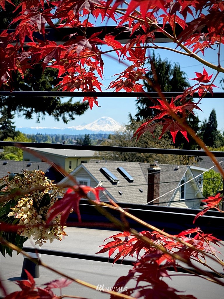 314 North 79th Street Seattle, WA 98103 - Photo 34 of 40 Gallery Image 34