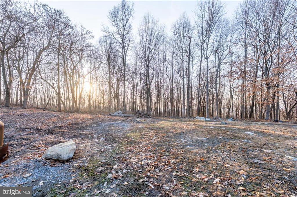 4835 Shimerville Road Emmaus, PA 18049 - Photo 1 of 16 a view of a yard with trees