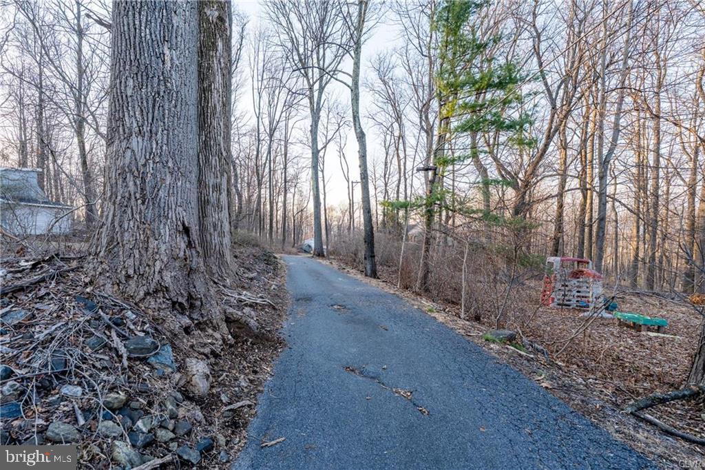4835 Shimerville Road Emmaus, PA 18049 - Photo 6 of 16 a backyard of a house with lots of green space
