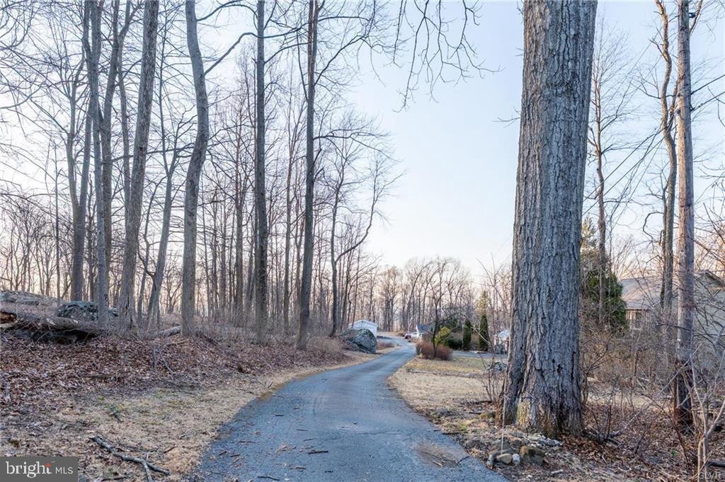 4835 Shimerville Road Emmaus, PA 18049 - Photo 7 of 16 a backyard of a house with lots of green space