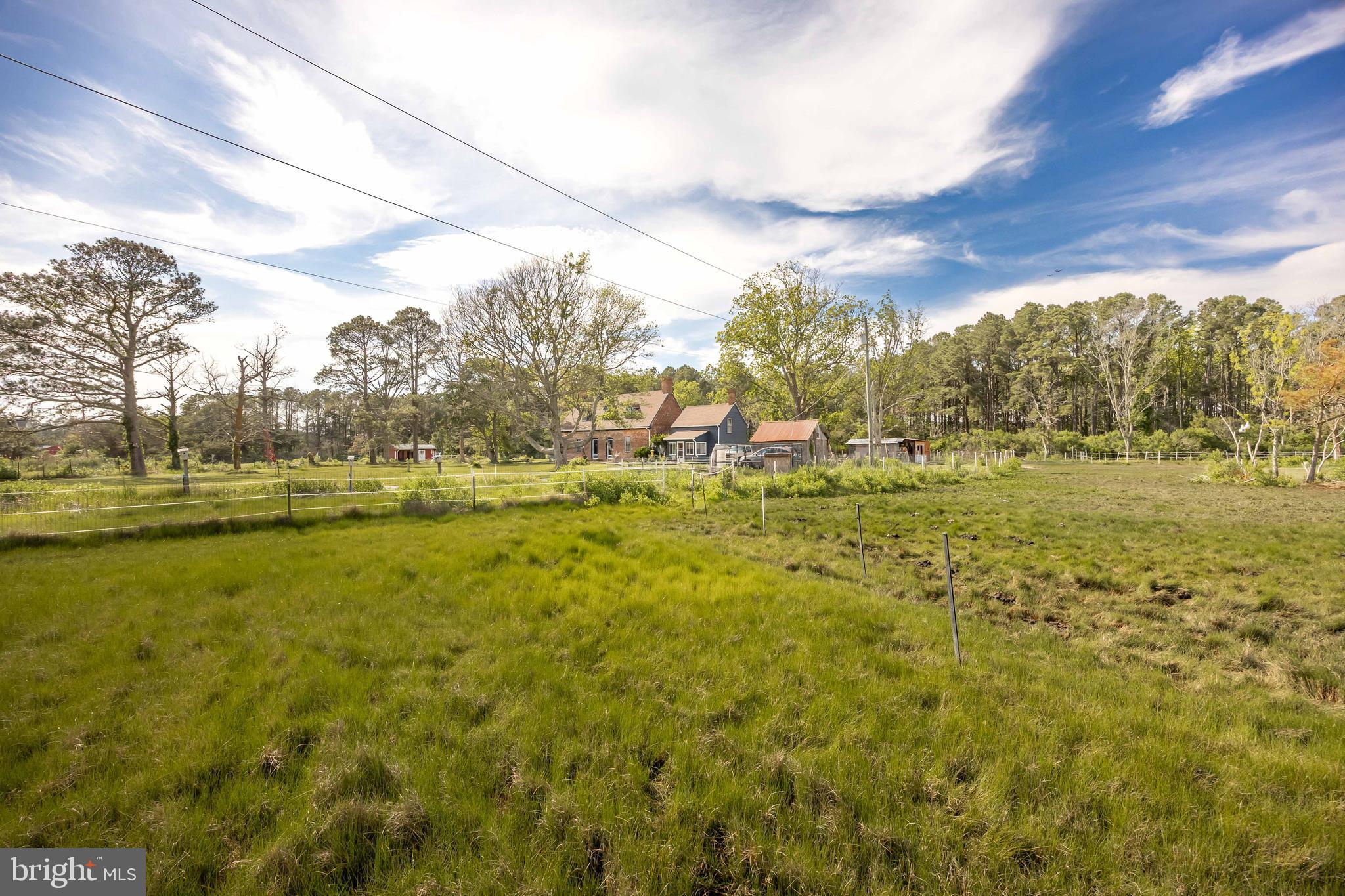27012 Johnson Creek Road Crisfield, MD 21817 - Photo 61 of 65 South pasture