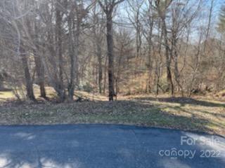0 Pine Ridge Hickory, NC 28601 - Photo 4 of 6 a view of a dry yard with trees