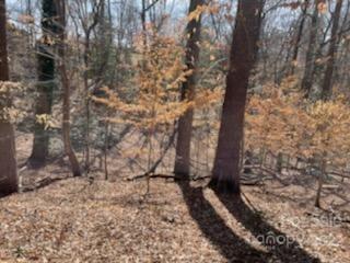 0 Pine Ridge Hickory, NC 28601 - Photo 5 of 6 a view of a yard with trees