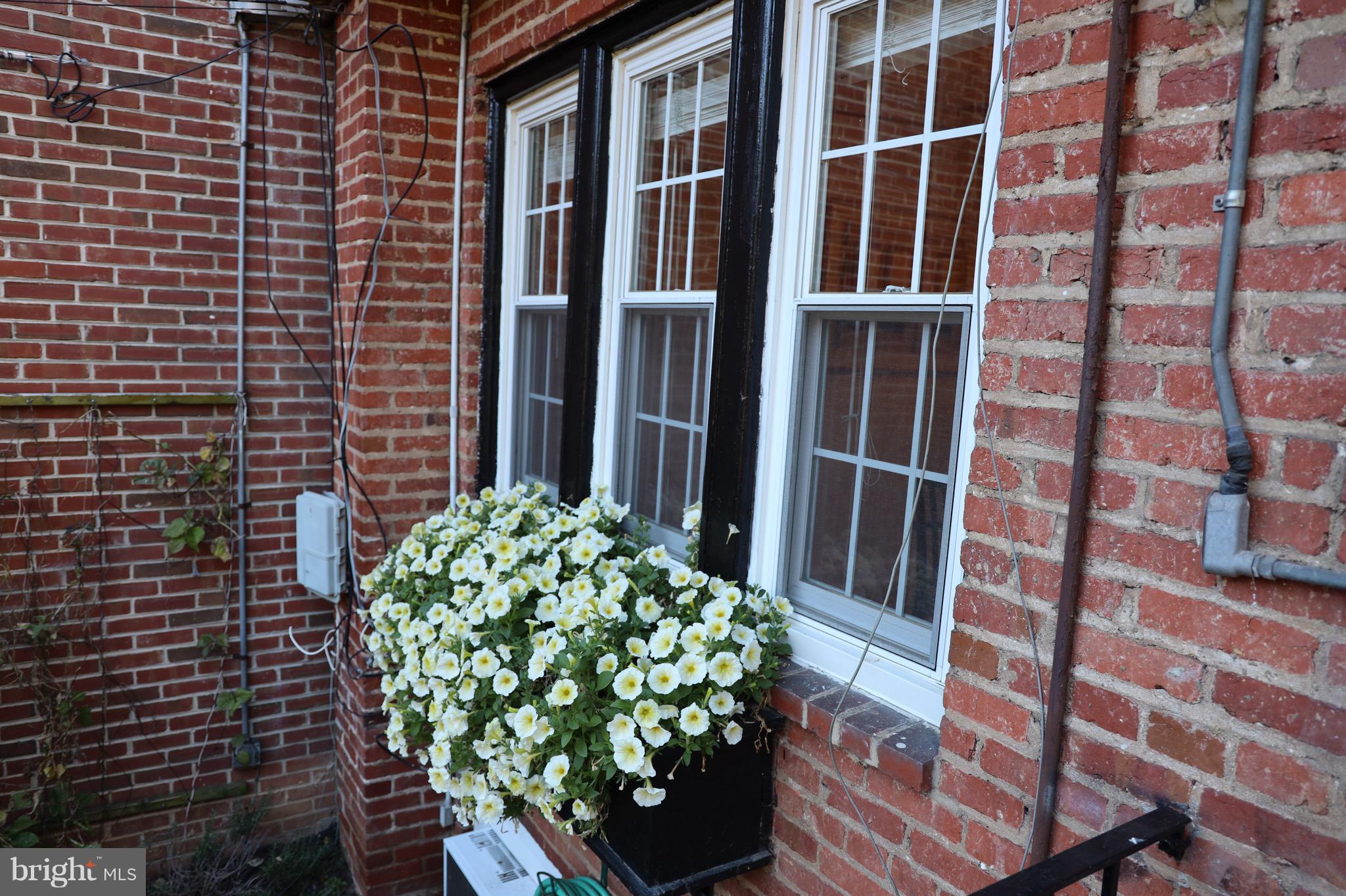 4436 Reservoir Road Northwest Washington, DC 20007 - Photo 28 of 28 Gallery Image 28