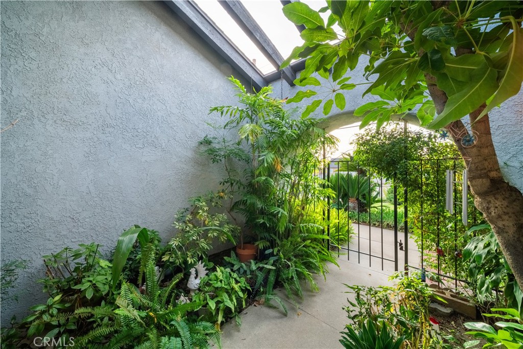 6275 Sapphire Street Rancho Cucamonga, CA 91701 - Photo 6 of 32 a plant is in a garden