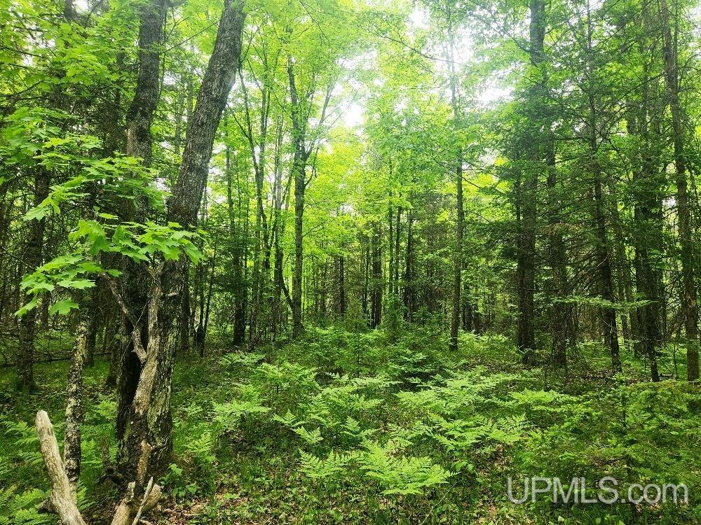 Lot 5 Wilderness Way Road Crystal Falls, MI 49920 - Photo 17 of 25