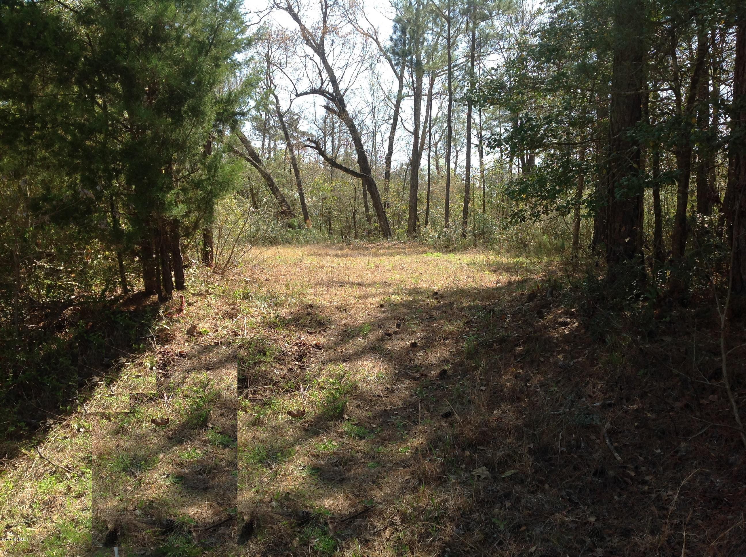 406 Pine Ridge Court Hampstead, NC 28443 - Photo 2 of 2 View 2