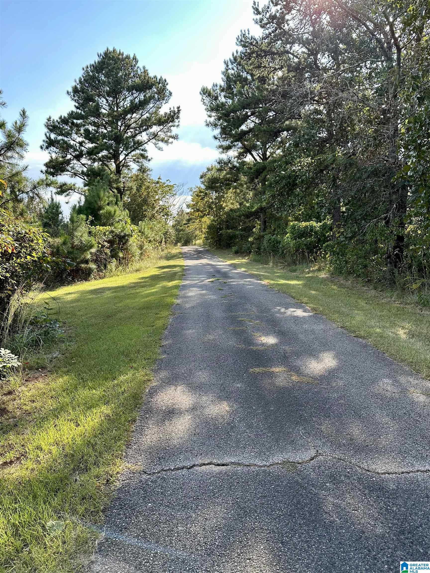 Eagle View, Unit 117 Leeds, AL 35094 - Photo 2 of 8