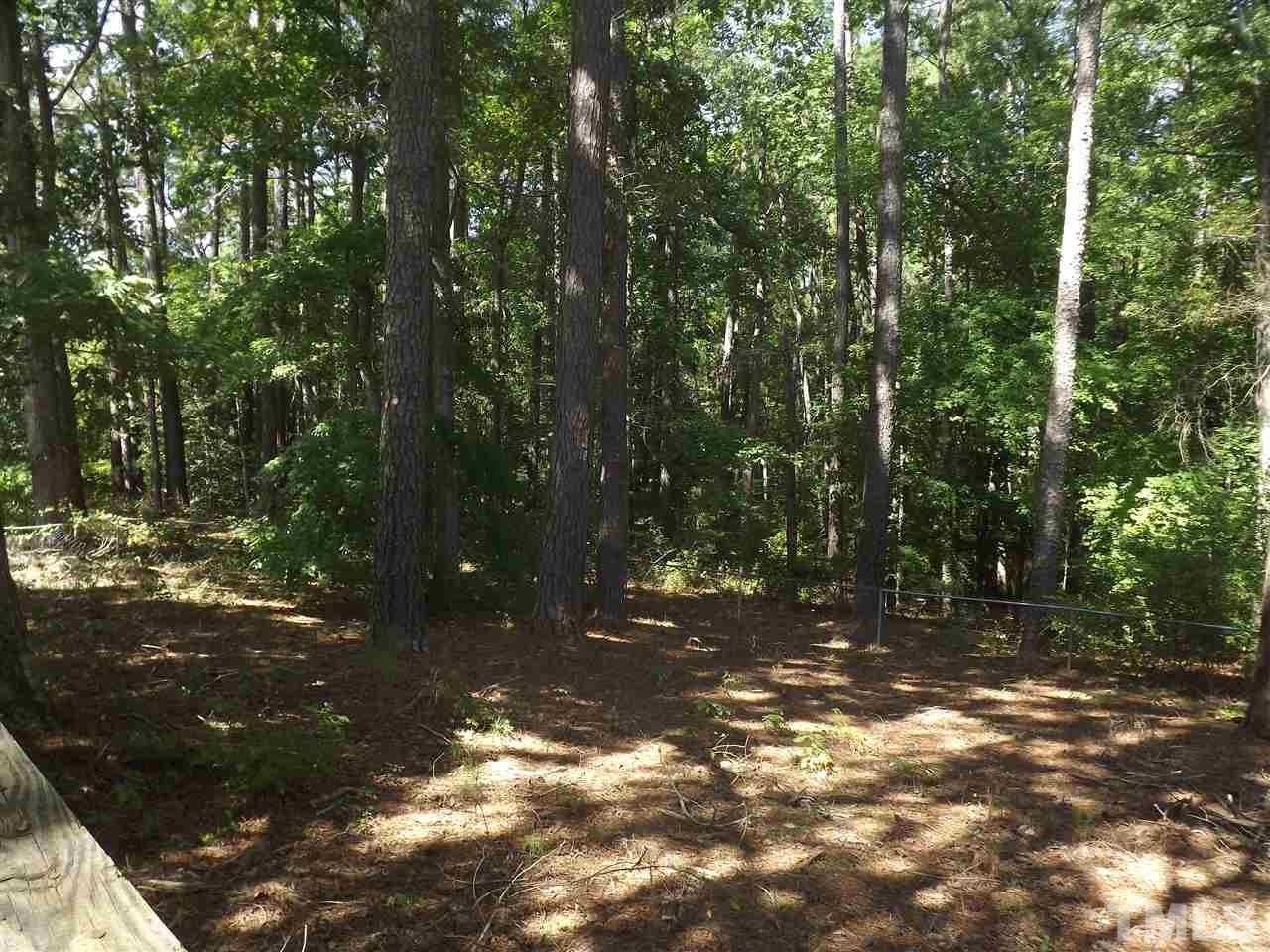 1151 Morphus Bridge Road Wendell, NC 27591 - Photo 16 of 16 Gallery Image 16