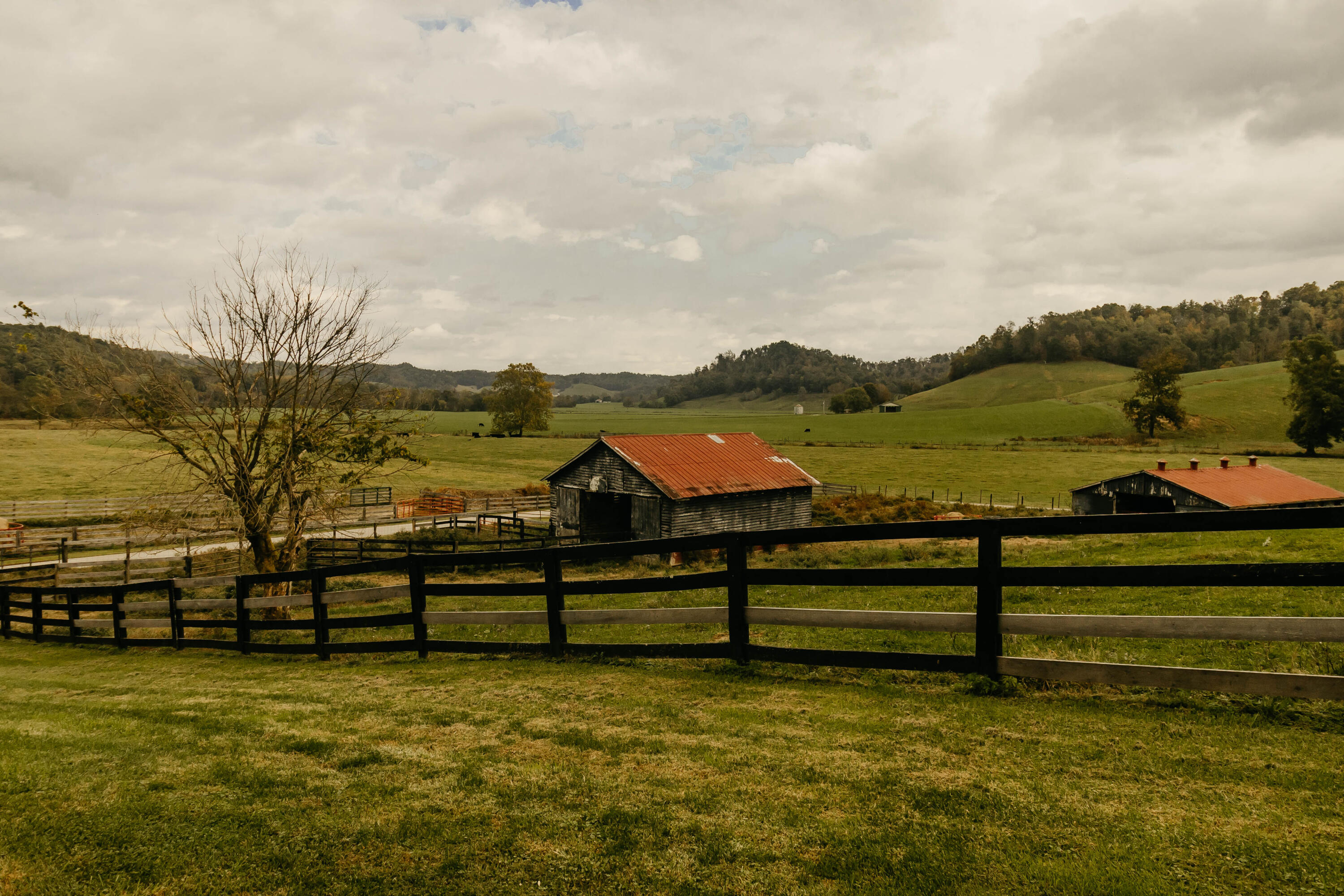 322 Clark Branch Road Campton, KY 41301 - Photo 59 of 63 KRPbw-8245