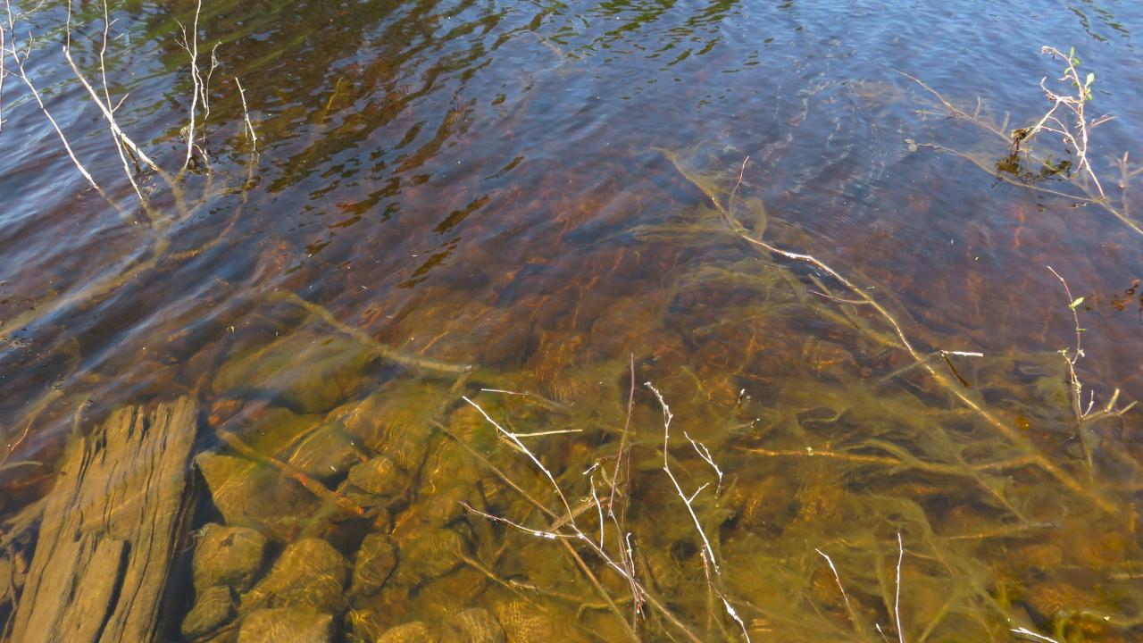Lot On Townsite Road Presque Isle, WI 54557 - Photo 2 of 36 Gallery Image 2