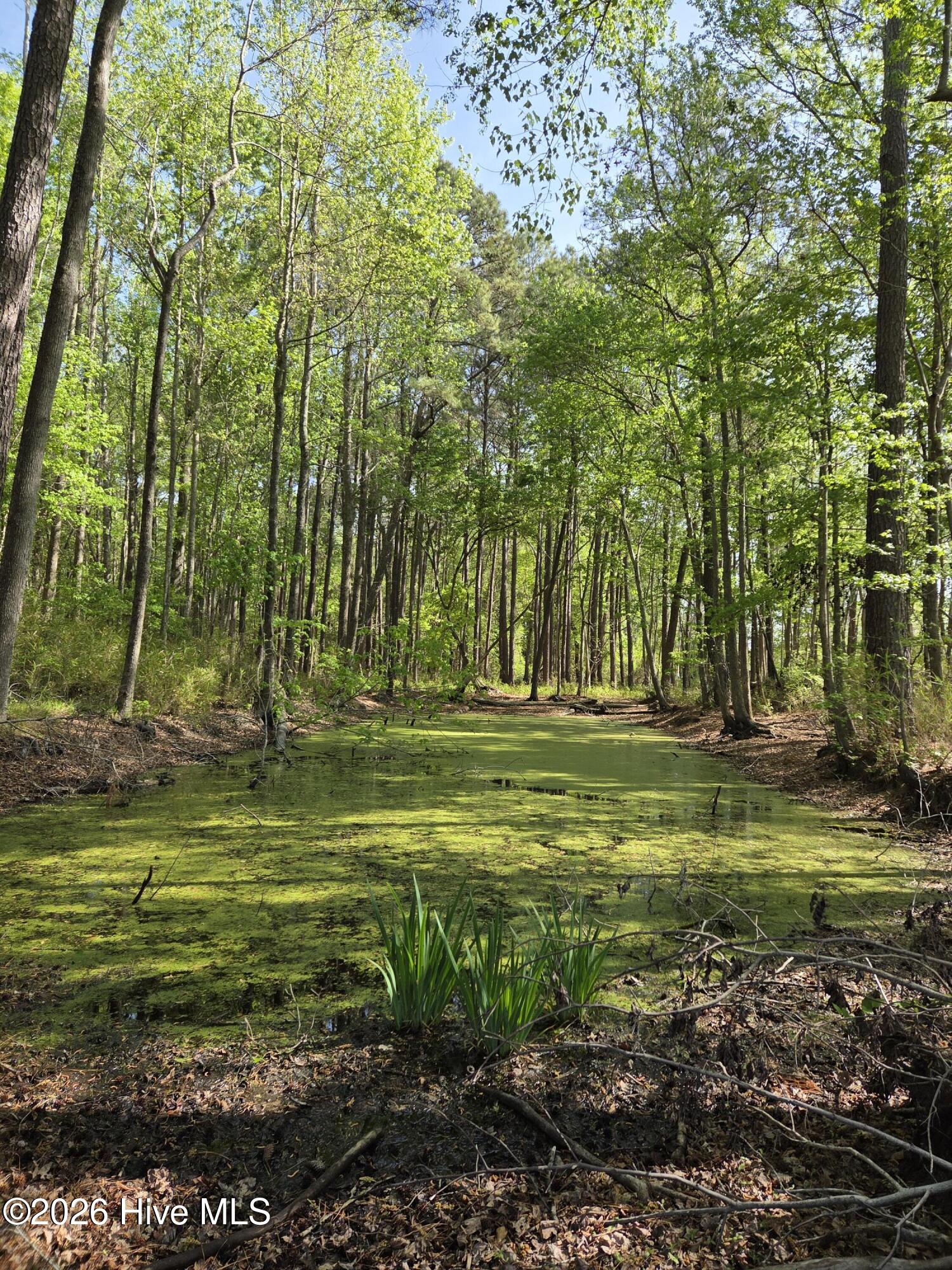 903 Macedonia Road Edenton, NC 27932 - Photo 2 of 7 1116