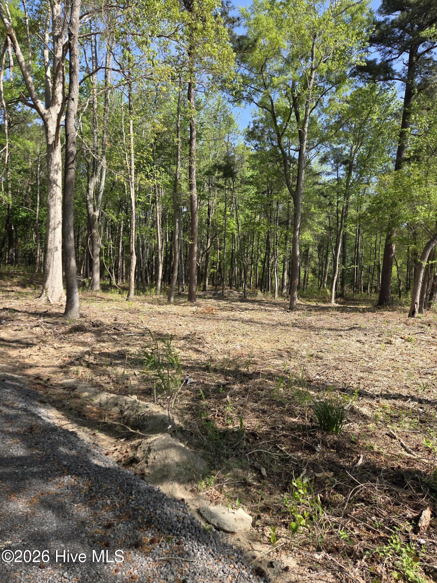 903 Macedonia Road Edenton, NC 27932 - Photo 3 of 7 1120