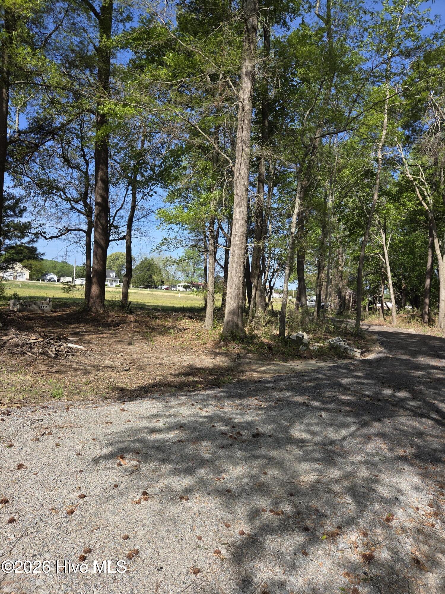 903 Macedonia Road Edenton, NC 27932 - Photo 4 of 7 1121