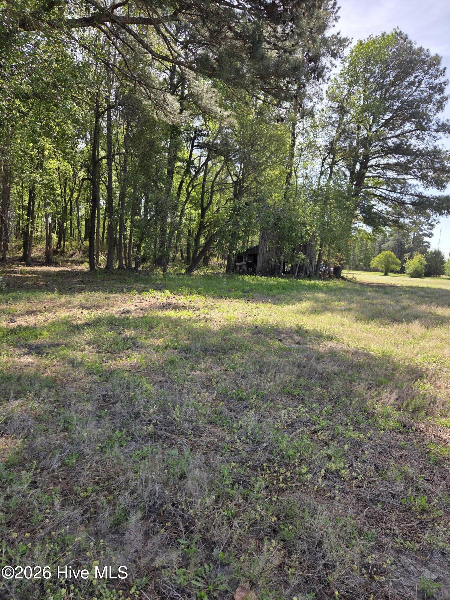 903 Macedonia Road Edenton, NC 27932 - Photo 5 of 7 1124