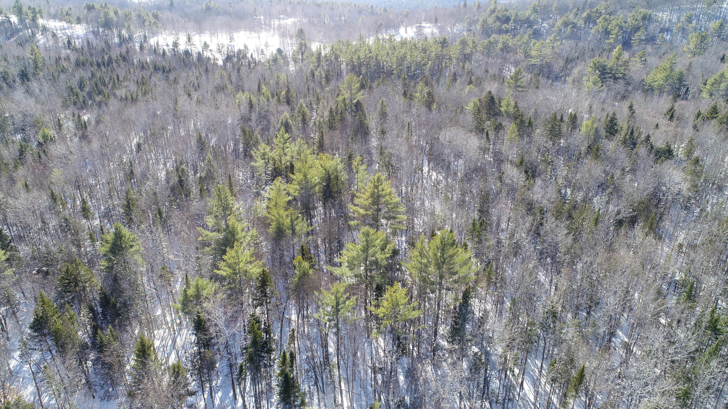 Tbd Black Brook Road Bryant Pond, ME 04219 - Photo 13 of 16 DJI_0242