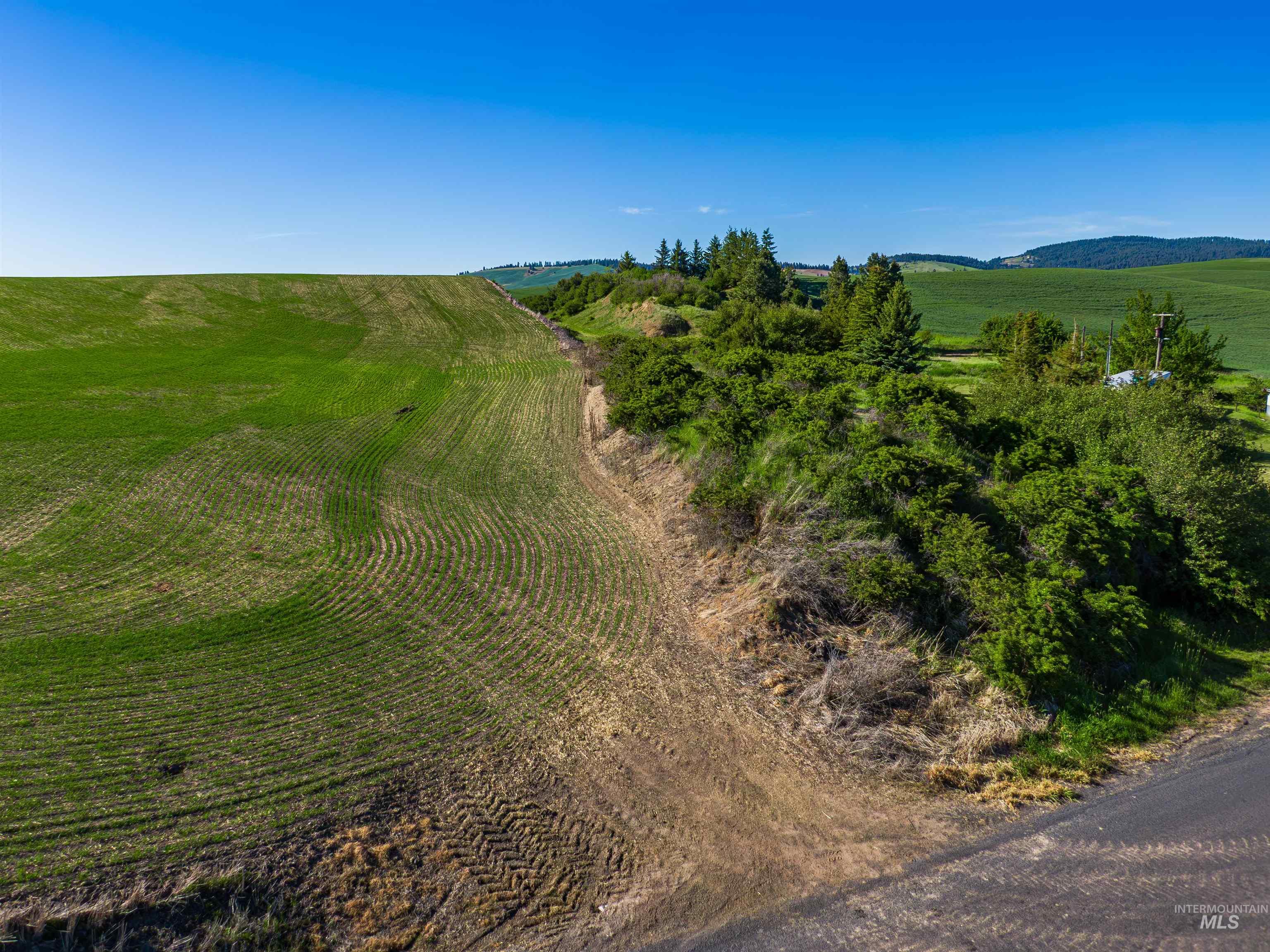 Tbd/000 Mix Road Moscow, ID 83843 - Photo 21 of 31 Aerial view of property and surrounding area