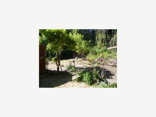1565 River Road Ben Lomond, CA 95005 - Photo 9 of 9 Gallery Image 9