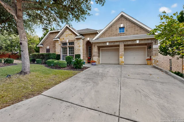 a view of a yard in front of a house with plants and large tree