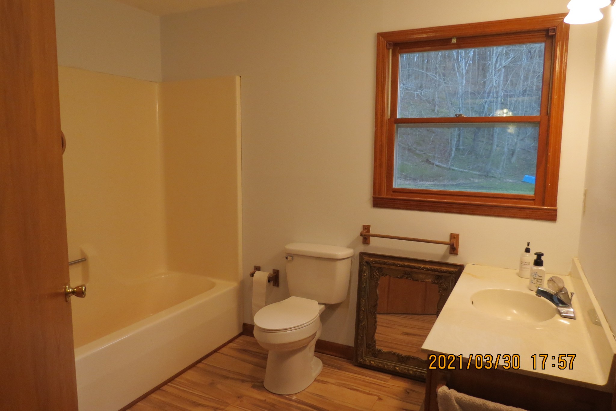 876 Denmark Road Erin, TN 37061 - Photo 12 of 45 a bathroom with a toilet and a sink