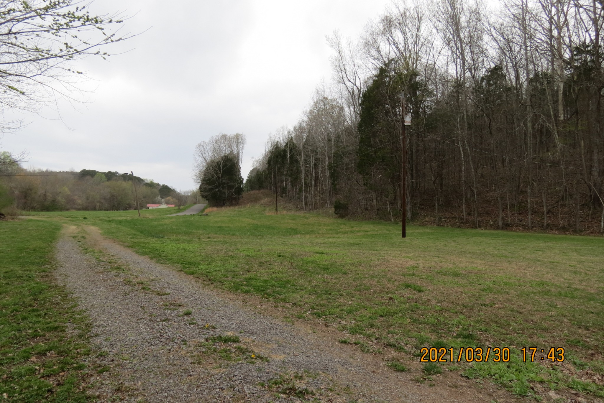876 Denmark Road Erin, TN 37061 - Photo 3 of 45 a view of a field with trees in background