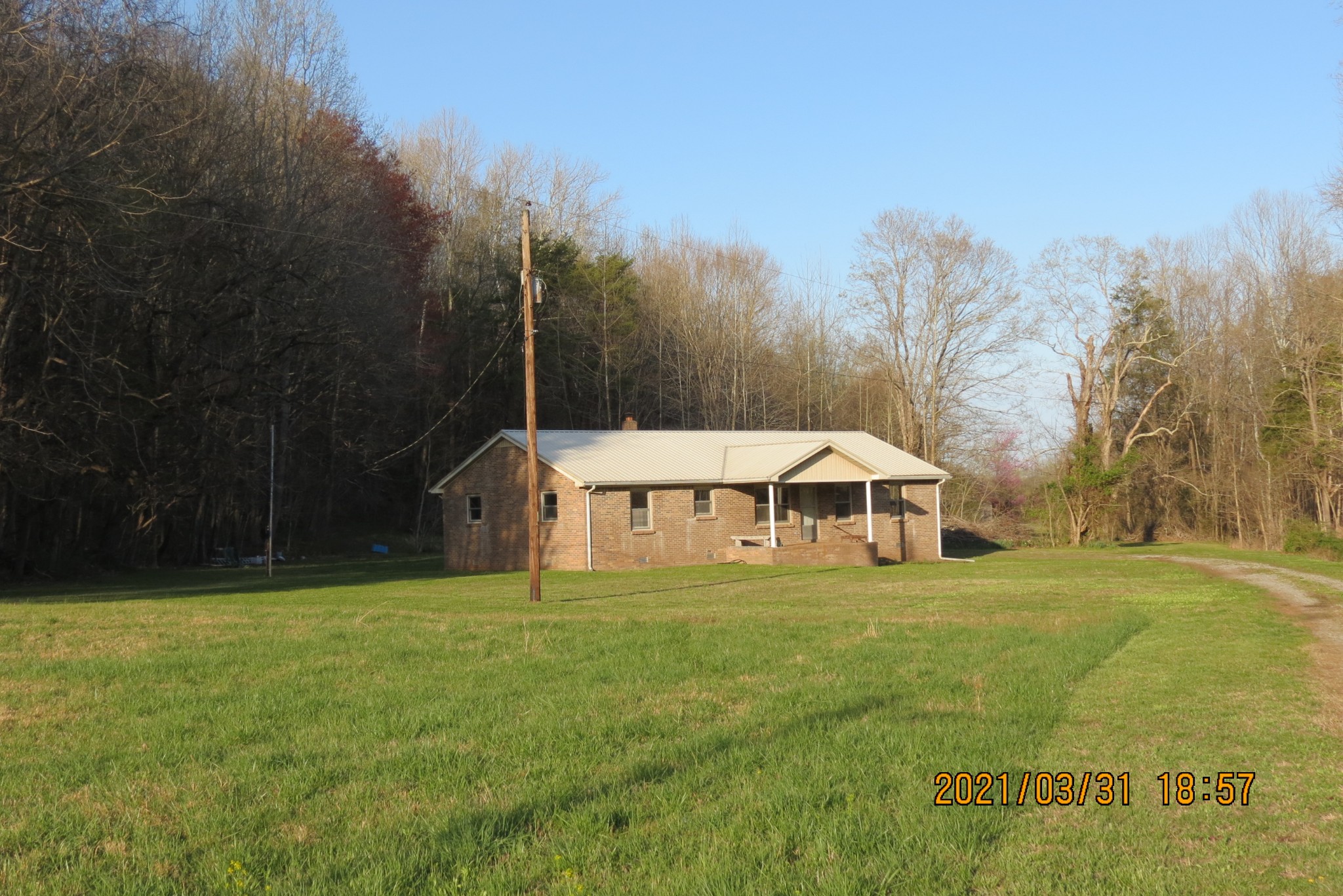 876 Denmark Road Erin, TN 37061 - Photo 22 of 45 a view of a house with a yard and trees