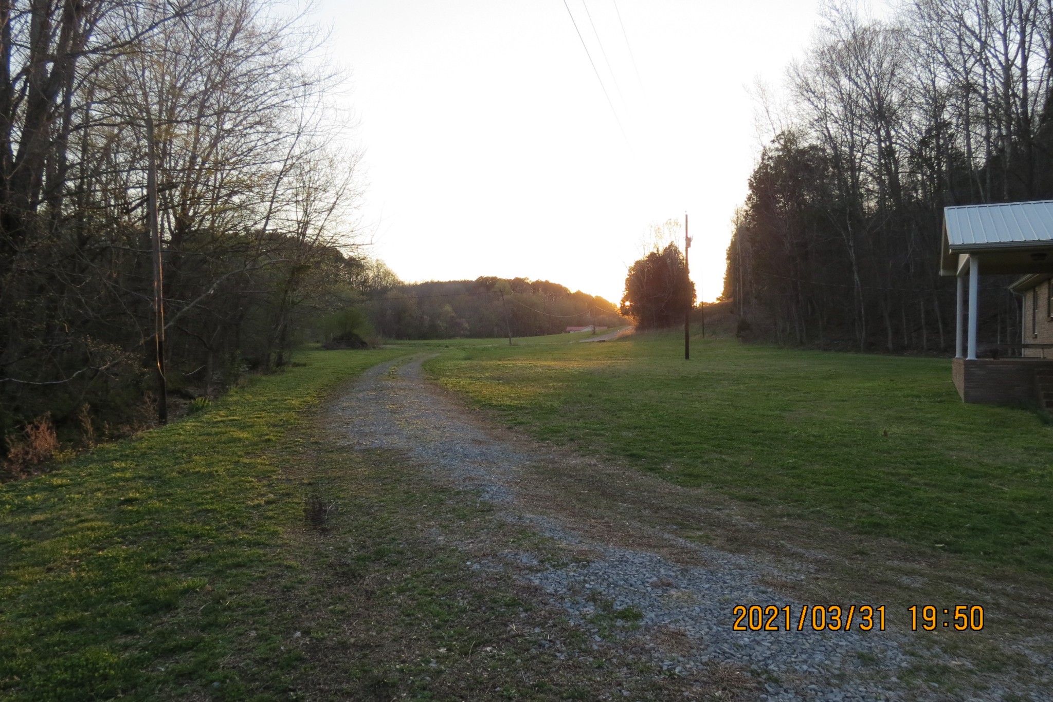 876 Denmark Road Erin, TN 37061 - Photo 30 of 45 a big yard with lots of green space