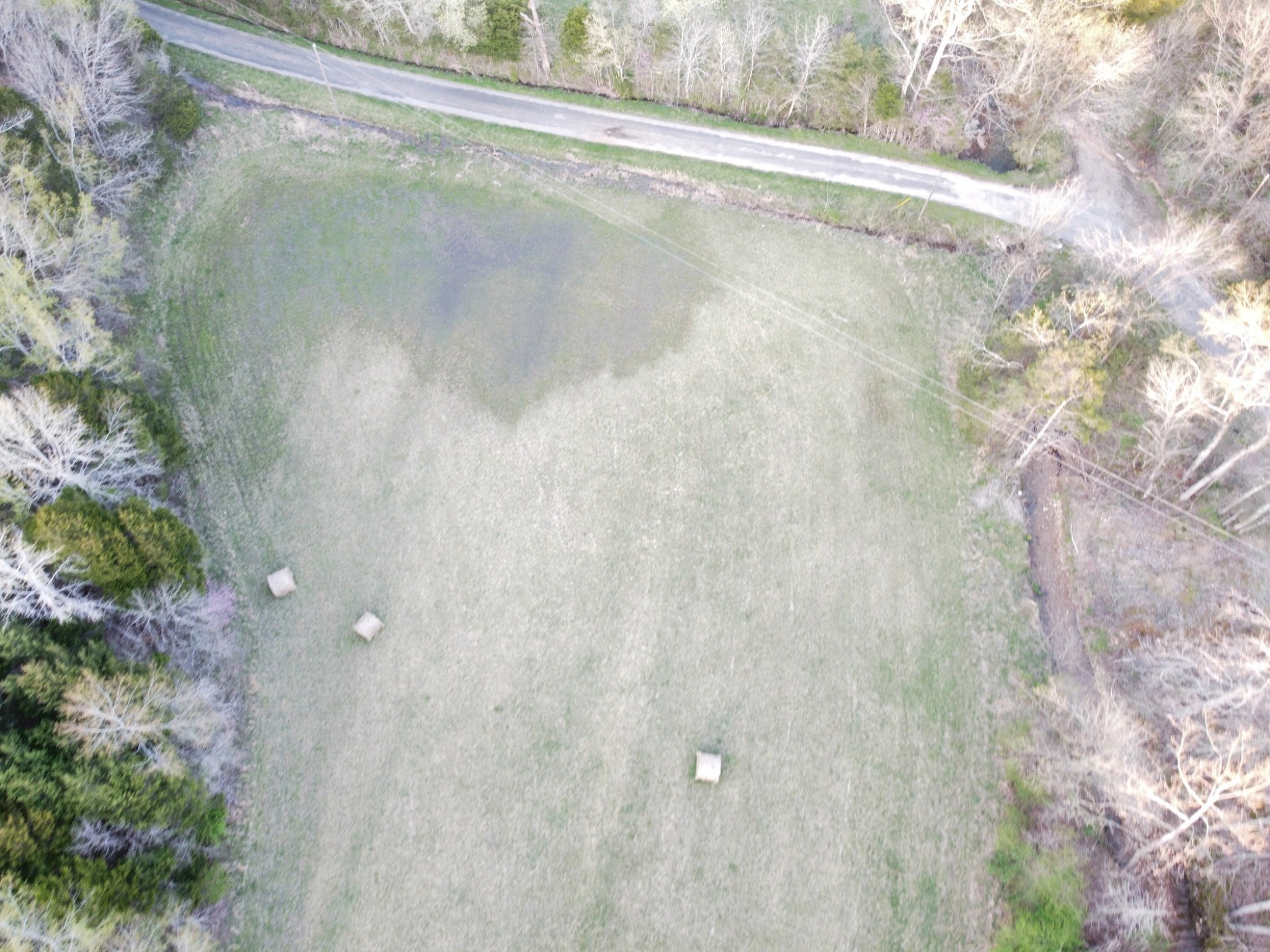 876 Denmark Road Erin, TN 37061 - Photo 38 of 45