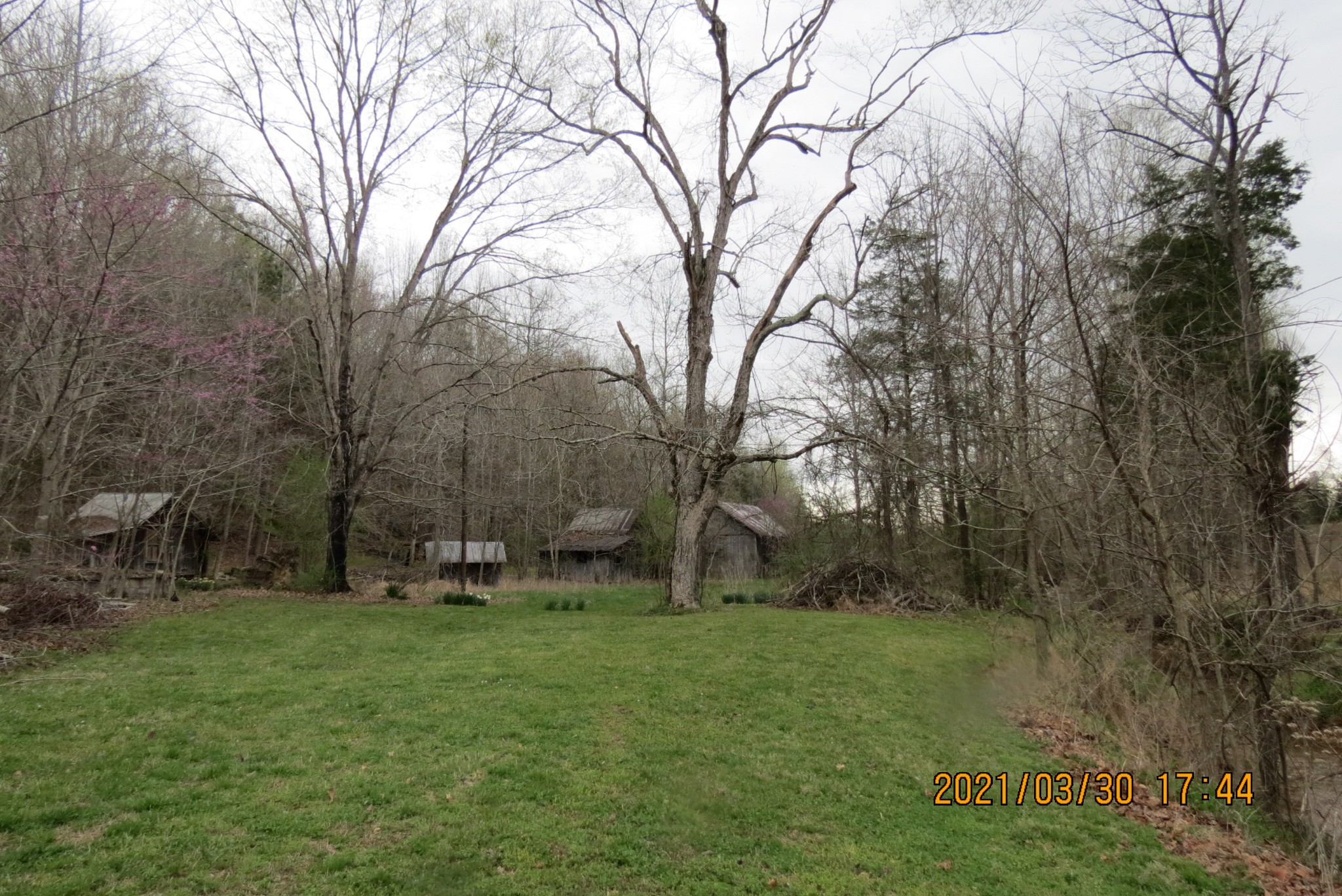 876 Denmark Road Erin, TN 37061 - Photo 5 of 45 a backyard of a house with table and chairs