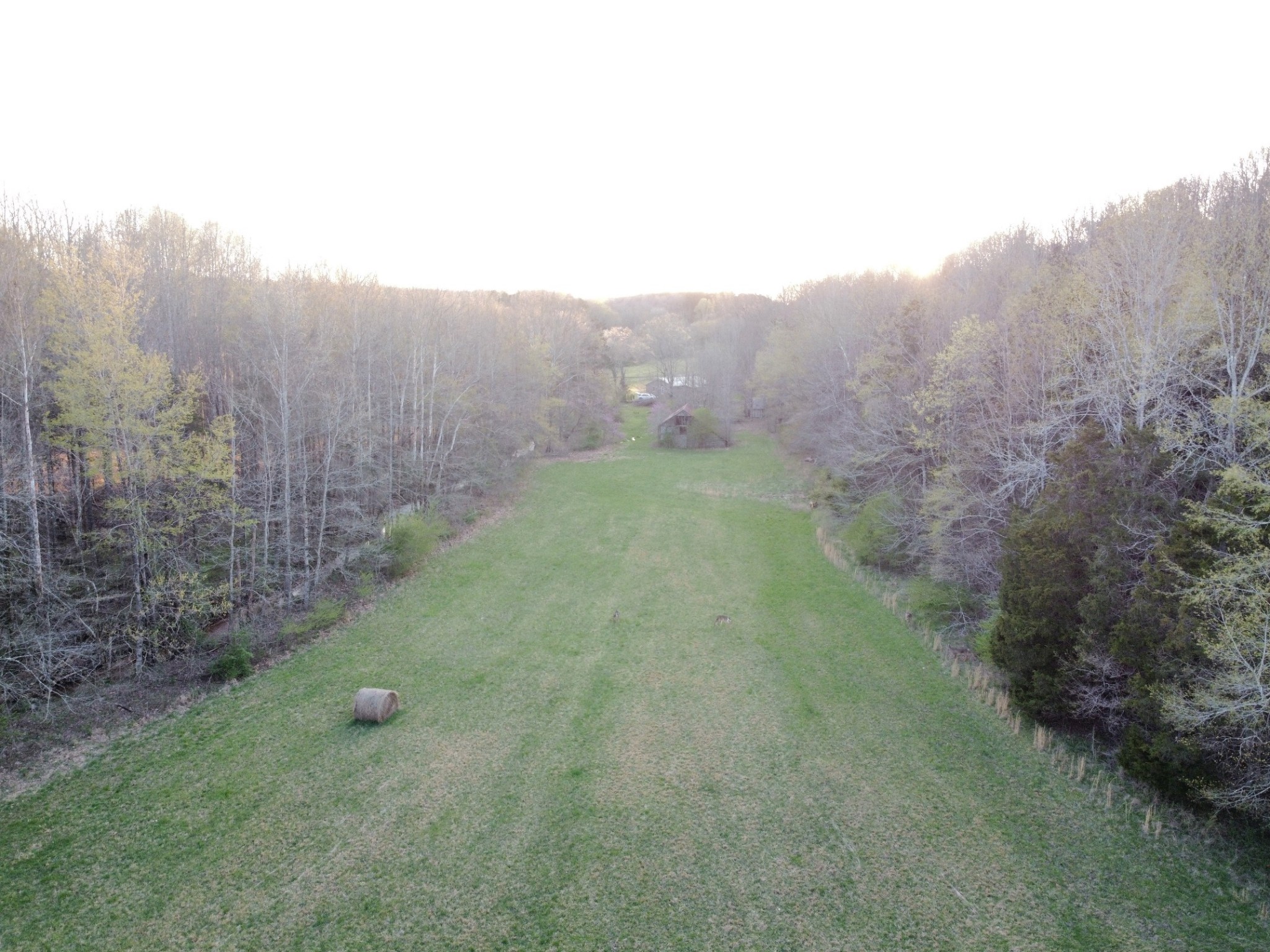 876 Denmark Road Erin, TN 37061 - Photo 41 of 45 a view of a field with trees in the background