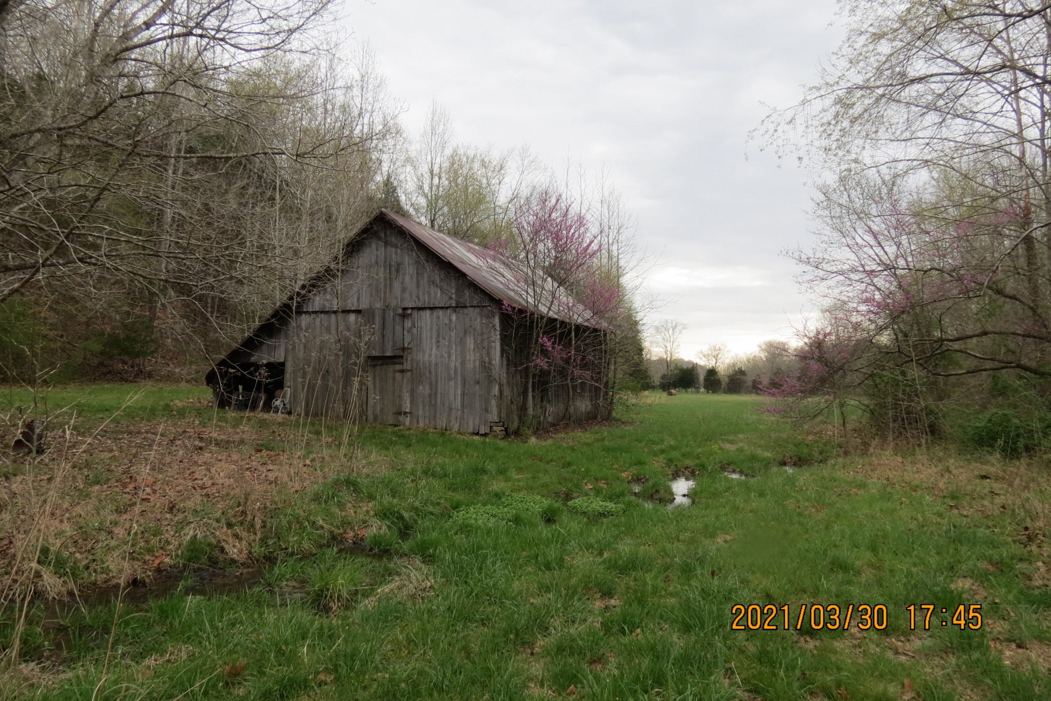 876 Denmark Road Erin, TN 37061 - Photo 6 of 45 a view of a back yard