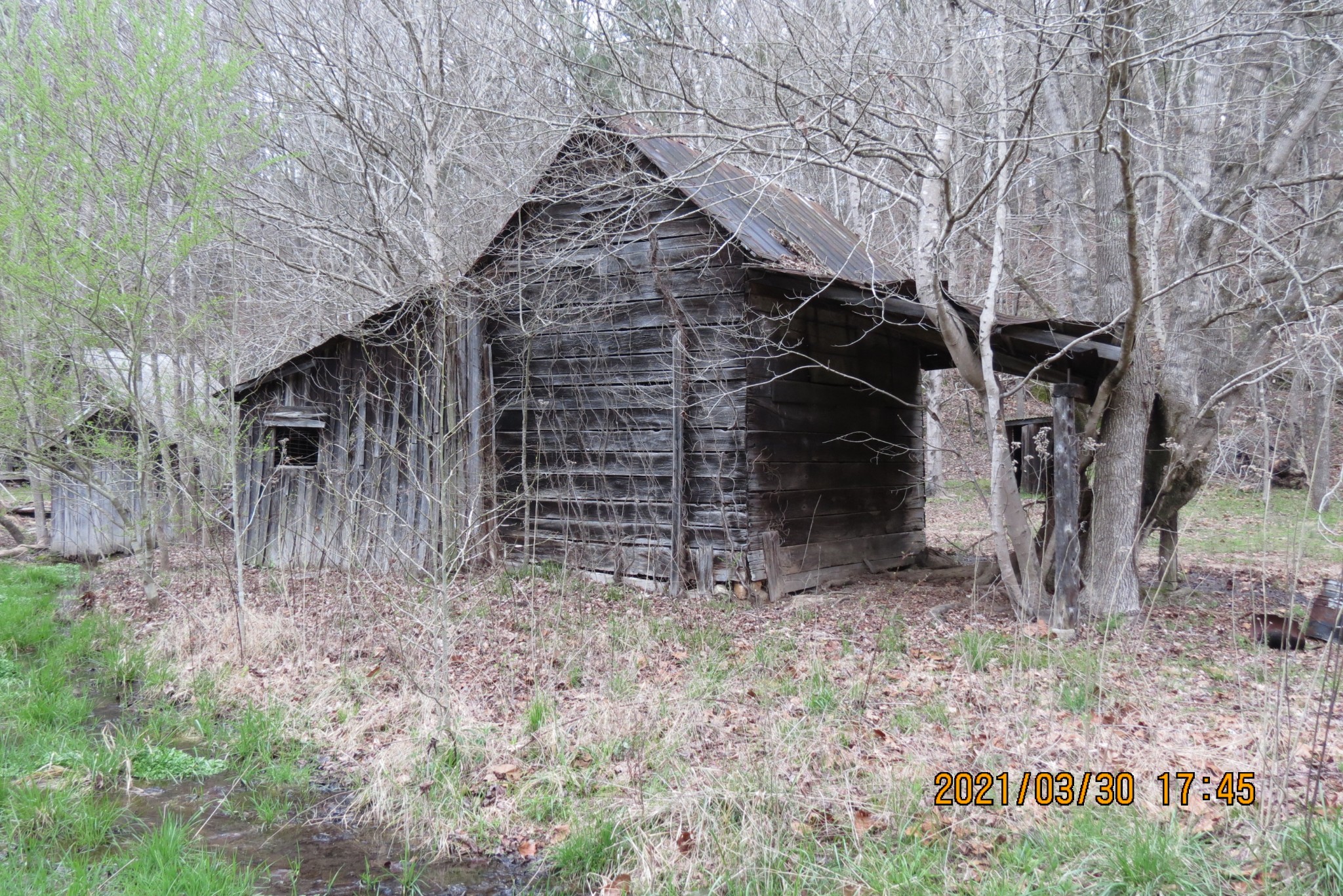 876 Denmark Road Erin, TN 37061 - Photo 8 of 45 a view of old house with a yard