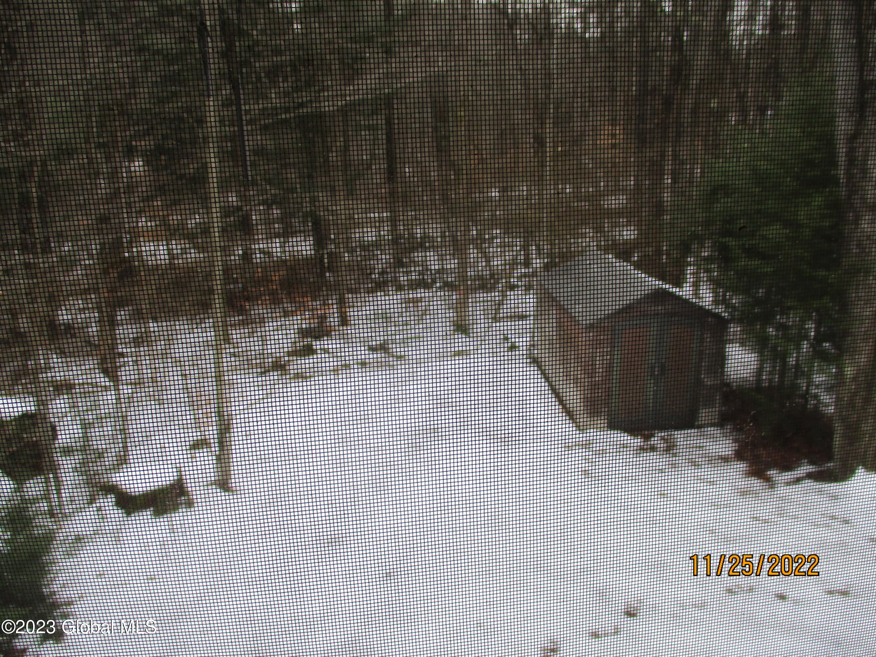 11 Summit Road Horicon, NY 12815 - Photo 20 of 21 Back yard and Shed