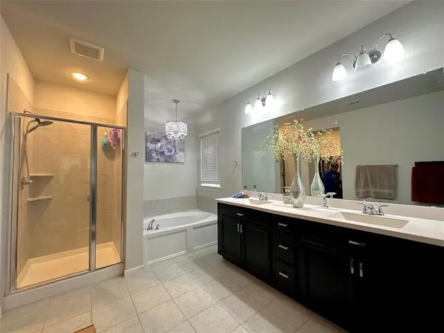 a bathroom with a double vanity sink mirror double shower and a bathtub