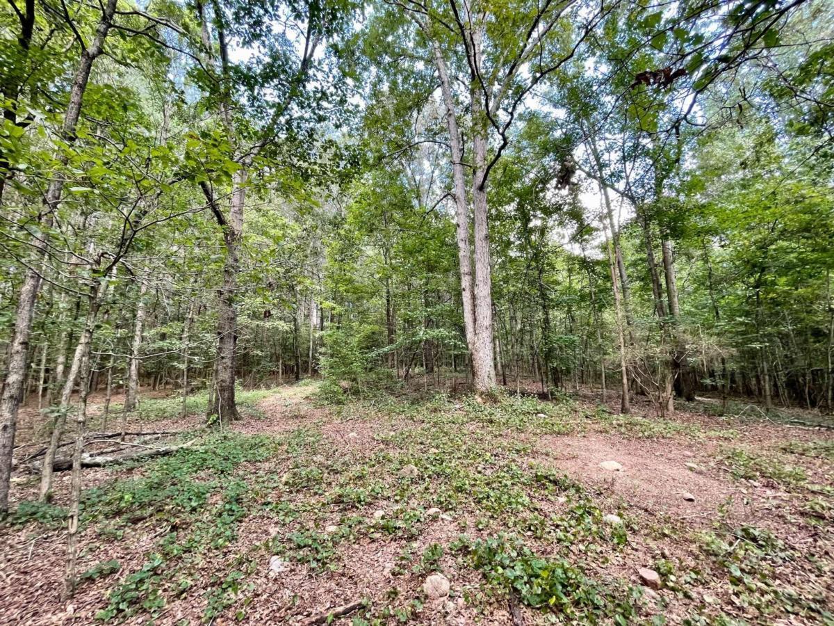 0 Harmony Gates Drive, Unit TRACT 24 Commerce, GA 30530 - Photo 18 of 34 a view of outdoor space and trees
