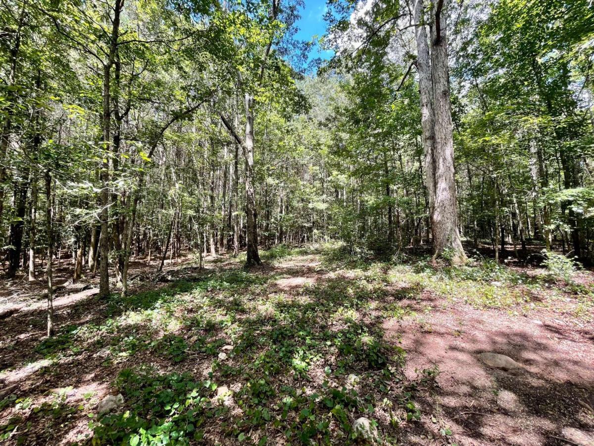 0 Harmony Gates Drive, Unit TRACT 24 Commerce, GA 30530 - Photo 20 of 34 a view of outdoor space and trees