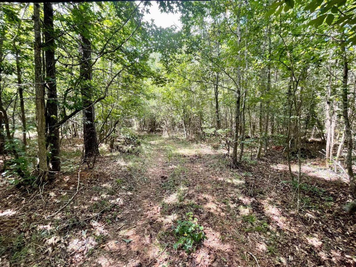0 Harmony Gates Drive, Unit TRACT 24 Commerce, GA 30530 - Photo 21 of 34 a view of a forest with trees