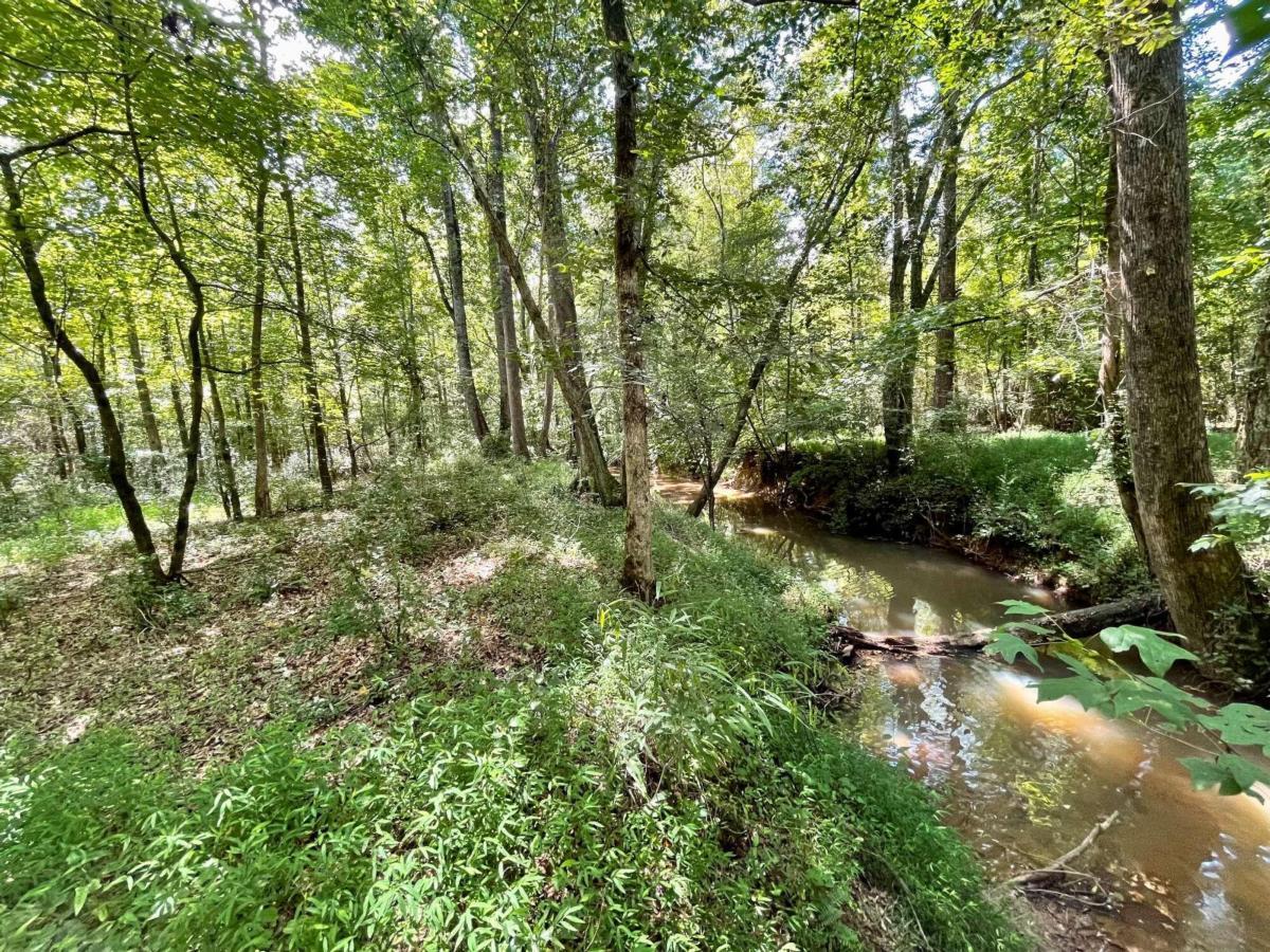 0 Harmony Gates Drive, Unit TRACT 24 Commerce, GA 30530 - Photo 22 of 34 a lush green forest with lots of trees