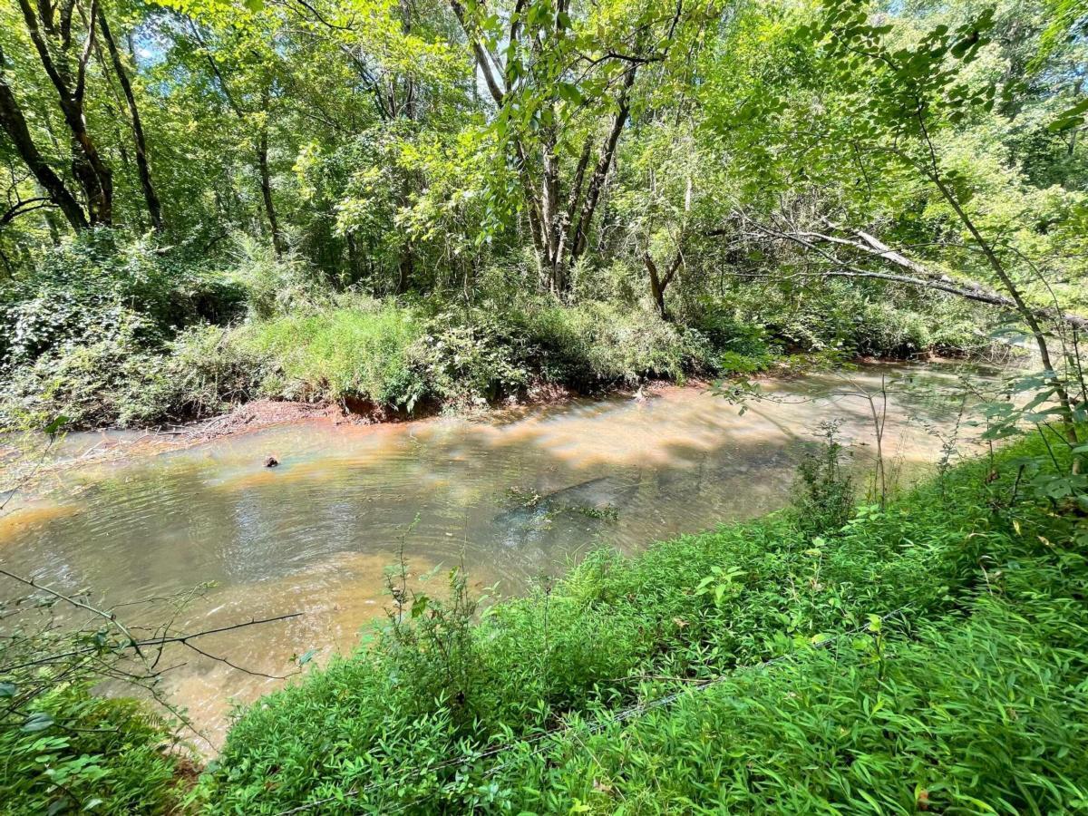 0 Harmony Gates Drive, Unit TRACT 24 Commerce, GA 30530 - Photo 23 of 34 a view of a pathway both side of yard