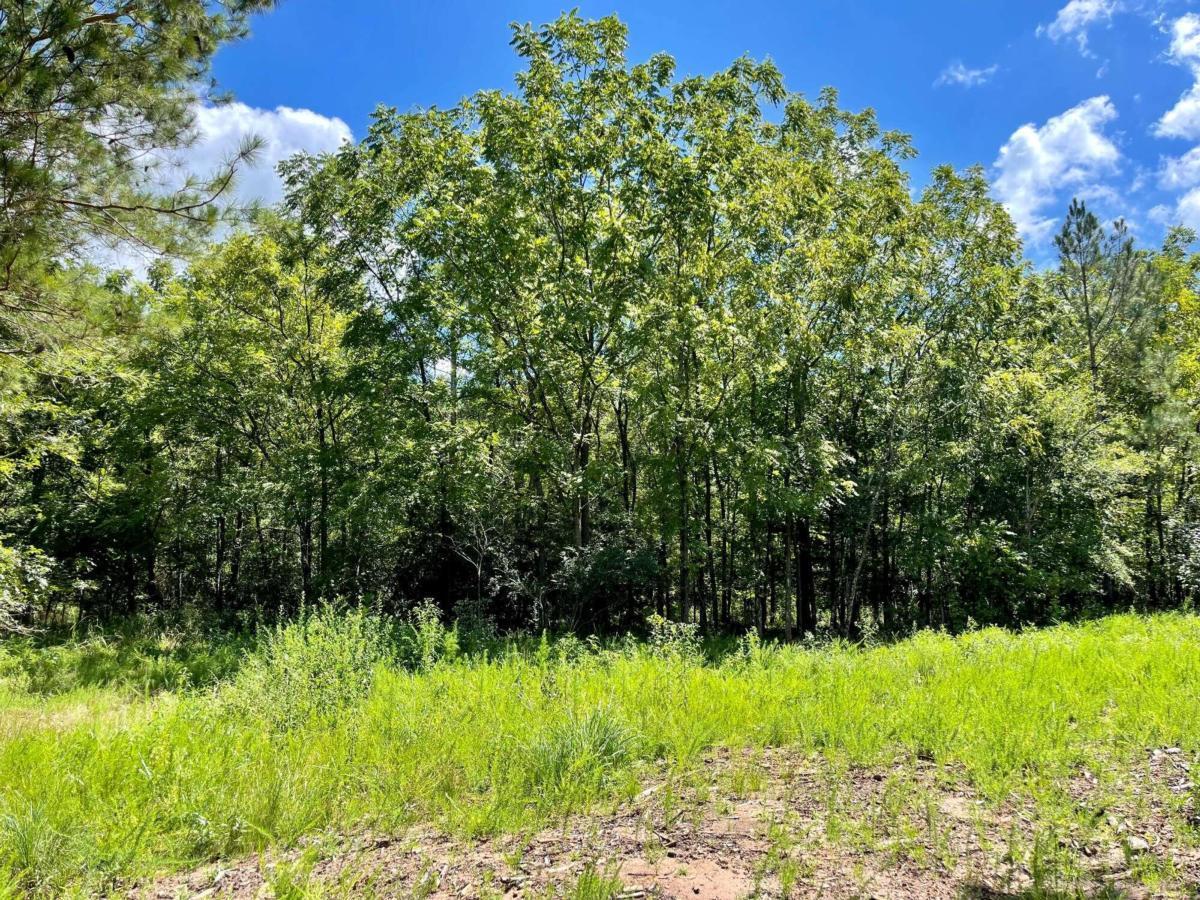 0 Harmony Gates Drive, Unit TRACT 24 Commerce, GA 30530 - Photo 29 of 34 a view of a garden