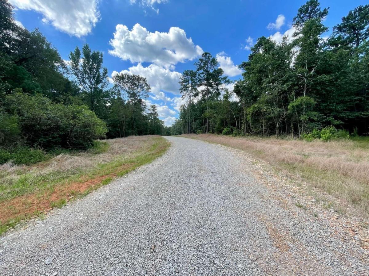 0 Harmony Gates Drive, Unit TRACT 24 Commerce, GA 30530 - Photo 8 of 34 a view of a dirt road with trees in the background