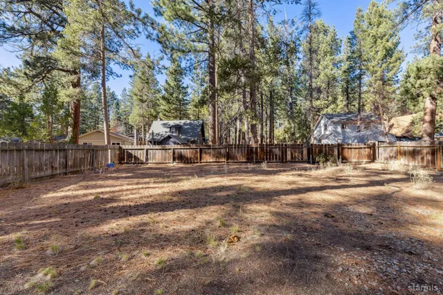 a view of city with tall trees