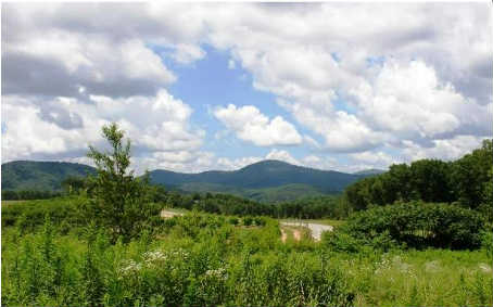 Lot22 Ridgemont Lane Ellijay, GA 30536 - Photo 1 of 1 Main View