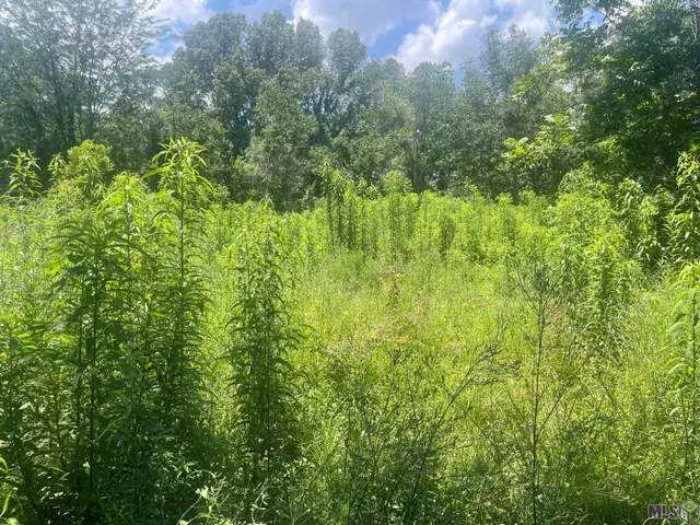 $39,000 | Lot 67 Sunnybrook Drive, Baton Rouge, LA 70814